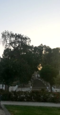 Parque de Jesús (9)